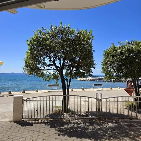 By The Sea * Petrcane